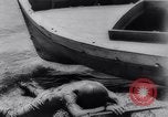 Standbild British Forces Tunis Tunesien, 1943, aus Sekunde 61 historischem Filmmaterial Videoclip 65675033503