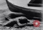 Standbild British Forces Tunis Tunesien, 1943, aus Sekunde 62 historischem Filmmaterial Videoclip 65675033503