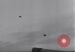 Standbild Plan Acrobat mit Schiffen auf See Atlantik, 1942, aus Sekunde 50 historischem Filmmaterial Videoclip 65675033506