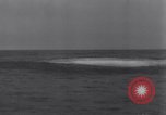 Standbild Plan Acrobat mit Schiffen auf See Atlantik, 1942, aus Sekunde 52 historischem Filmmaterial Videoclip 65675033506