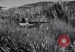 Image of Allied forces advancing toward Tunis Tunis Tunisia, 1942, second 39 stock footage video 65675033508
