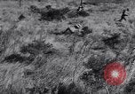 Image of Allied forces advancing toward Tunis Tunis Tunisia, 1942, second 40 stock footage video 65675033508