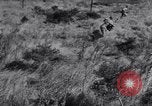 Image of Allied forces advancing toward Tunis Tunis Tunisia, 1942, second 41 stock footage video 65675033508