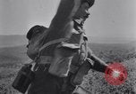 Image of Allied forces advancing toward Tunis Tunis Tunisia, 1942, second 47 stock footage video 65675033508