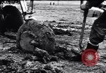 Image of Allied Forces stymied by rain and floods in mountains of Algeria Tunisia North Africa, 1942, second 18 stock footage video 65675033509