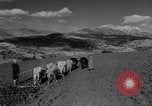 Image of Allied soldiers celebrate Christmas in North Africa Egypt, 1942, second 16 stock footage video 65675033510
