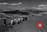 Image of Allied soldiers celebrate Christmas in North Africa Egypt, 1942, second 17 stock footage video 65675033510