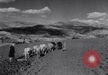 Image of Allied soldiers celebrate Christmas in North Africa Egypt, 1942, second 18 stock footage video 65675033510