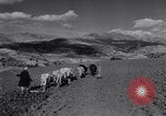 Image of Allied soldiers celebrate Christmas in North Africa Egypt, 1942, second 19 stock footage video 65675033510