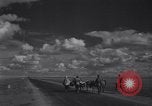 Image of Allied soldiers celebrate Christmas in North Africa Egypt, 1942, second 25 stock footage video 65675033510