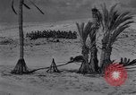Image of Allied soldiers celebrate Christmas in North Africa Egypt, 1942, second 53 stock footage video 65675033510