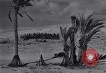 Image of Allied soldiers celebrate Christmas in North Africa Egypt, 1942, second 54 stock footage video 65675033510