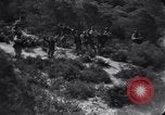 Image of 15 Divisions of German soldiers surrender to Allies to end Tunisian campaign Tunisia North Africa, 1943, second 3 stock footage video 65675033514