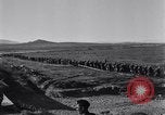 Image of 15 Divisions of German soldiers surrender to Allies to end Tunisian campaign Tunisia North Africa, 1943, second 11 stock footage video 65675033514