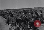 Image of 15 Divisions of German soldiers surrender to Allies to end Tunisian campaign Tunisia North Africa, 1943, second 13 stock footage video 65675033514