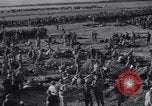 Image of 15 Divisions of German soldiers surrender to Allies to end Tunisian campaign Tunisia North Africa, 1943, second 35 stock footage video 65675033514