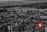 Image of 15 Divisions of German soldiers surrender to Allies to end Tunisian campaign Tunisia North Africa, 1943, second 36 stock footage video 65675033514