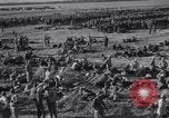 Image of 15 Divisions of German soldiers surrender to Allies to end Tunisian campaign Tunisia North Africa, 1943, second 37 stock footage video 65675033514