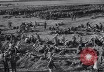 Image of 15 Divisions of German soldiers surrender to Allies to end Tunisian campaign Tunisia North Africa, 1943, second 38 stock footage video 65675033514