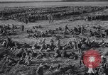 Image of 15 Divisions of German soldiers surrender to Allies to end Tunisian campaign Tunisia North Africa, 1943, second 39 stock footage video 65675033514