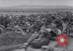 Image of 15 Divisions of German soldiers surrender to Allies to end Tunisian campaign Tunisia North Africa, 1943, second 40 stock footage video 65675033514