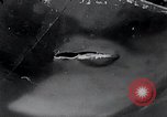Image of Bay of Pigs Cuba Invasion Cuba, 1961, second 21 stock footage video 65675033521