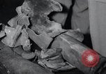 Image of Bay of Pigs Cuba Invasion Cuba, 1961, second 43 stock footage video 65675033521