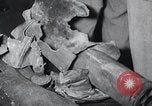 Image of Bay of Pigs Cuba Invasion Cuba, 1961, second 44 stock footage video 65675033521