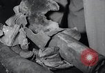 Image of Bay of Pigs Cuba Invasion Cuba, 1961, second 45 stock footage video 65675033521