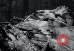 Image of German atrocities Germany, 1945, second 17 stock footage video 65675033529