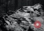 Image of German atrocities Germany, 1945, second 18 stock footage video 65675033529