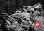 Image of German atrocities Germany, 1945, second 19 stock footage video 65675033529