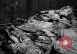 Image of German atrocities Germany, 1945, second 20 stock footage video 65675033529