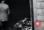 Image of German atrocities Germany, 1945, second 31 stock footage video 65675033529