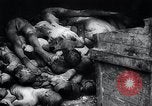 Image of German atrocities Germany, 1945, second 46 stock footage video 65675033529