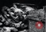 Image of German atrocities Germany, 1945, second 47 stock footage video 65675033529