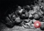 Image of German atrocities Germany, 1945, second 48 stock footage video 65675033529
