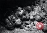 Image of German atrocities Germany, 1945, second 49 stock footage video 65675033529