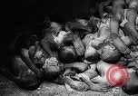 Image of German atrocities Germany, 1945, second 50 stock footage video 65675033529