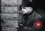 Image of German atrocities Germany, 1945, second 55 stock footage video 65675033529