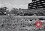 Standbild Waffenstillstand Dominikanische Republik, 1965, aus Sekunde 30 historischem Filmmaterial Videoclip 65675033530