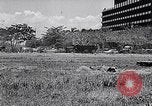 Standbild Waffenstillstand Dominikanische Republik, 1965, aus Sekunde 32 historischem Filmmaterial Videoclip 65675033530