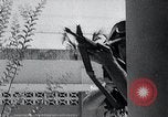 Standbild Waffenstillstand Dominikanische Republik, 1965, aus Sekunde 54 historischem Filmmaterial Videoclip 65675033530
