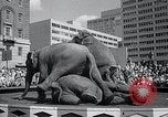 Image Barnum-Bailey Ringling Brothers Circus New York United States USA, 1965, de la seconde 33 séquences d'archives historiques vidéo 65675033536