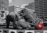 Image Barnum-Bailey Ringling Brothers Circus New York United States USA, 1965, de la seconde 34 séquences d'archives historiques vidéo 65675033536
