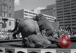 Image Barnum-Bailey Ringling Brothers Circus New York United States USA, 1965, de la seconde 35 séquences d'archives historiques vidéo 65675033536