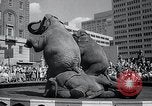 Image Barnum-Bailey Ringling Brothers Circus New York United States USA, 1965, de la seconde 36 séquences d'archives historiques vidéo 65675033536