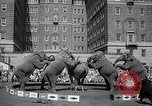 Image Barnum-Bailey Ringling Brothers Circus New York United States USA, 1965, de la seconde 57 séquences d'archives historiques vidéo 65675033536