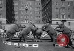 Image Barnum-Bailey Ringling Brothers Circus New York United States USA, 1965, de la seconde 59 séquences d'archives historiques vidéo 65675033536