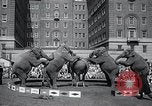 Image Barnum-Bailey Ringling Brothers Circus New York United States USA, 1965, de la seconde 60 séquences d'archives historiques vidéo 65675033536